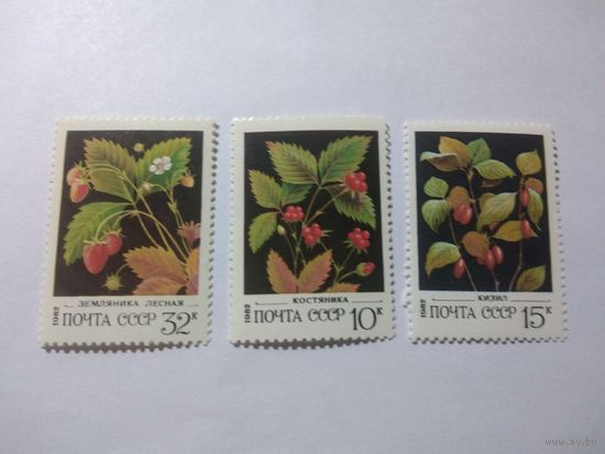 СССР 1982 ЯГОДЫ