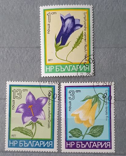Болгария цветы 3шт