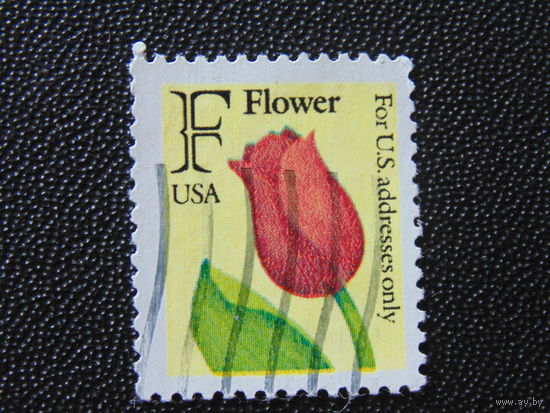 США 1991 г. Флора.
