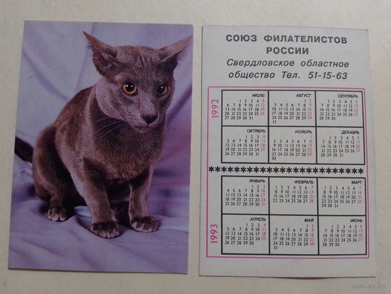 Карманный календарик. Котик.1992 год