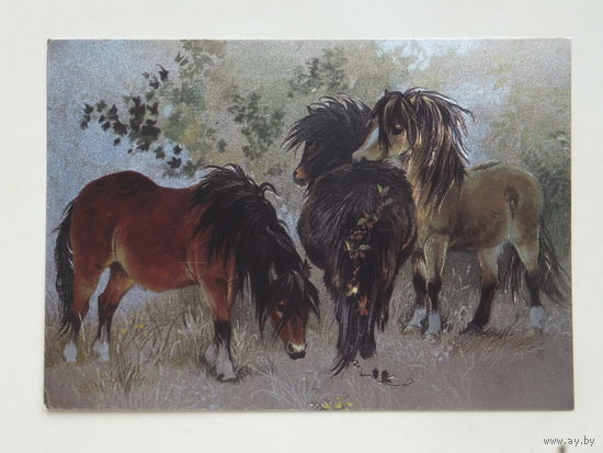 Англия стерео открытка 1990-е 10х15 см