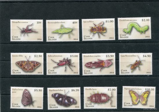 Острова Кука. Фауна. Насекомые. Членистоногие