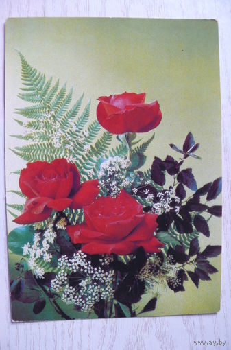 Дергилев И., Розы; 1990, 1991, чистая.