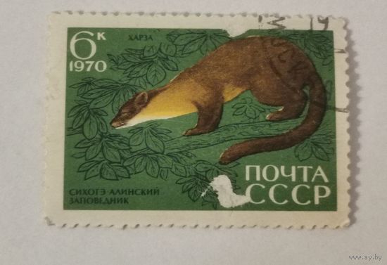 Марка из серии " 35-летие Сихотэ-Алинского государственного заповедника СССР" - Куница кирза