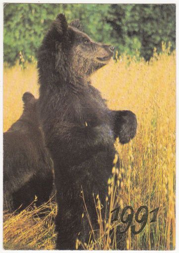Календарик 1991 (138)