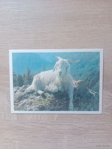 Календарик 1990