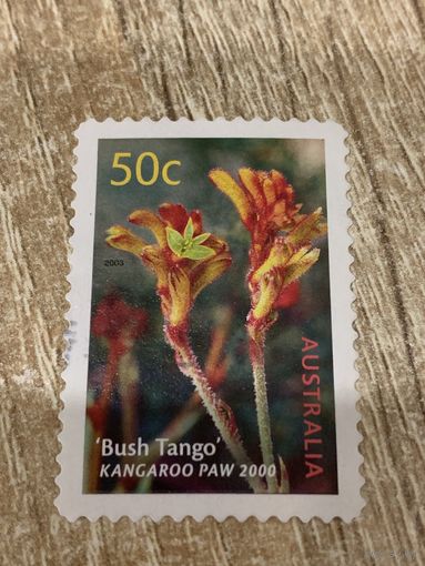 Австралия 2003. Флора. Kangaroo paw 2000. Марка из серии