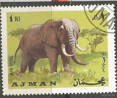 Аджман. Авиа. Слон. 1969г. St#556,
