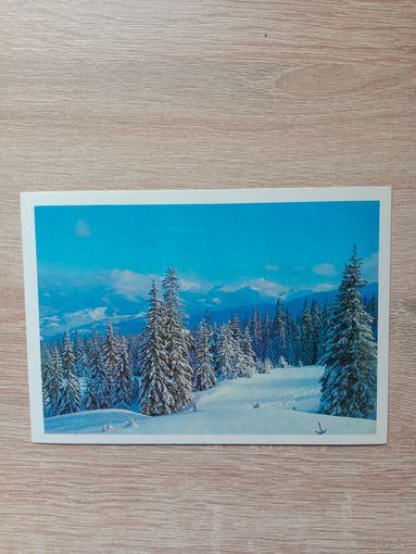 Открытка 1983