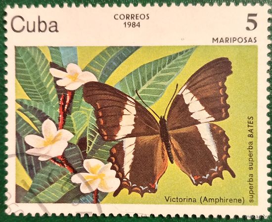 Куба 1984. Фауна. Бабочки. Victorina. Марка из серии