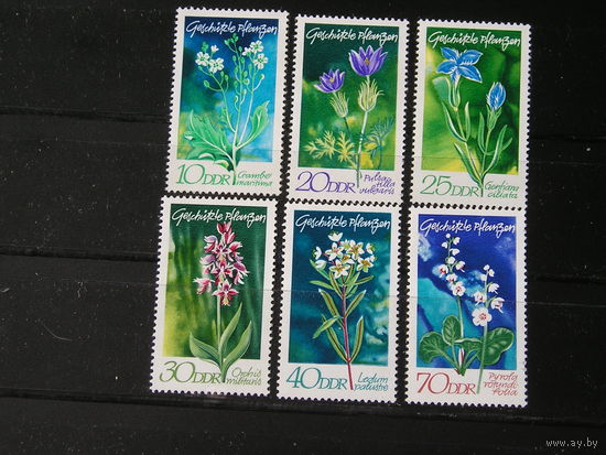 ГДР 1970, Цветы