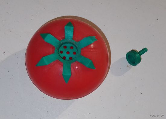 Сольница СССР