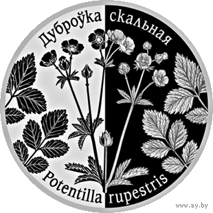 Торги. Дуброўка скальная . Лапчатка скальная . медно-никель , 1 рубль , 2017 год . Тираж 2000 штук . Редкость .