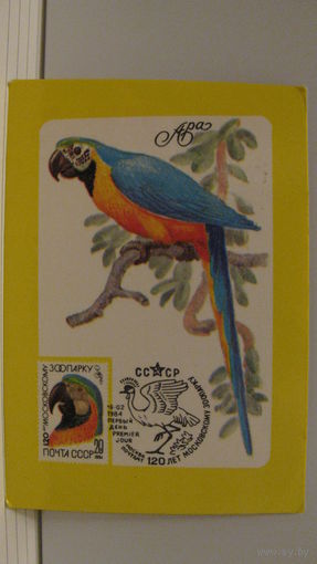 Карманный календарик. Ара. 120 лет московскому зоопарку. 1985 год