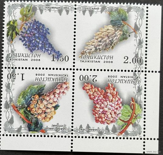 Таджикистан 2008. Виноград. Квартблок