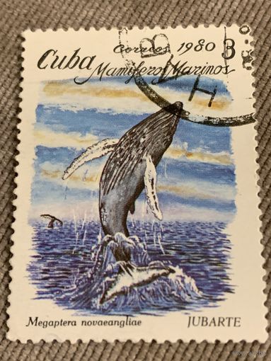 Куба 1980. Кит. Megaptera novaeangliae. Марка из серии