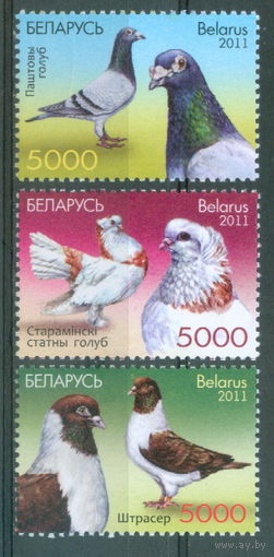 2011. 897-899. Голуби **