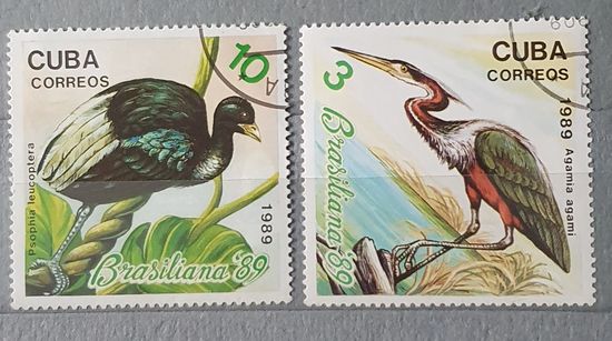 Куба птицы 2шт