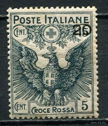 Королевство Италия - 1915/1916 - Надпечатка нового номинала 20С на 15С+5С - [Mi.123] - 1 марка. MH.  (Лот 51EL)-T2P18