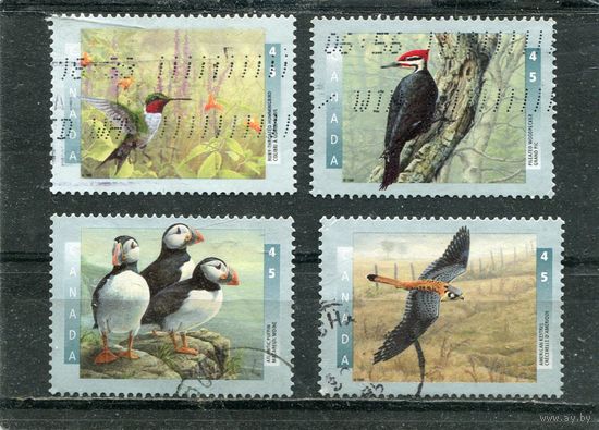 Канада. Местные виды птиц. Вып.8