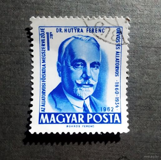 Марка Венгрия 1962 год Ференц Хутира