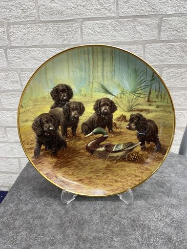Декоративная тарелка Franklin Mint Team Practice 20.5 см