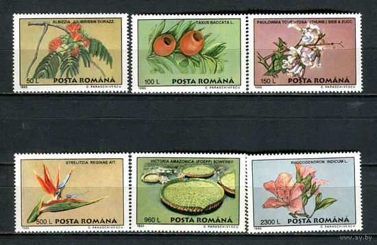 Румыния - 1995 - Цветы - [Mi. 5129-5134] - полная серия - 6 марок. MNH.  (Лот 45Jp)-T4P17