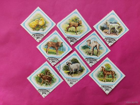 Монголия. Домашние животные. ( 8 марок ) 1982 года. 3-12.
