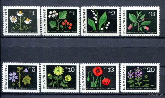 Болгария - 1969г. - Лекарственные растения - 8 марок - полная серия, MNH, 1 марка с лёгкой вмятинкой на уголке (не видно на скане) [Mi 1857-1864]. #O-Se-Z-1-39