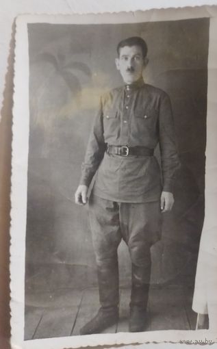 Фото в коллекцию