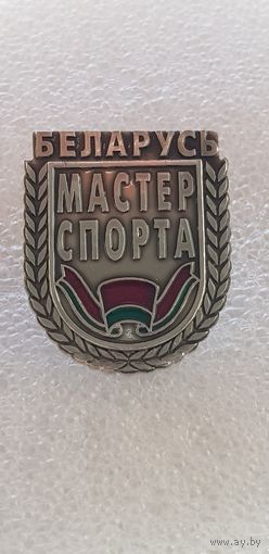 Мастер спорта Беларусь*