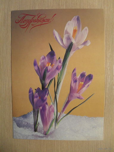 ПОДПИСАННАЯ ОТКРЫТКА. СССР. ПОЗДРАВЛЯЕМ! фото. Р. ЯКИМЕНКО. 1980 г.