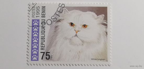 Бенин 1995. Коты