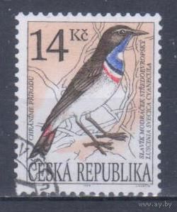 [861] Чехия 1994. Фауна.Птицы.Варакушка. Гашеная марка.