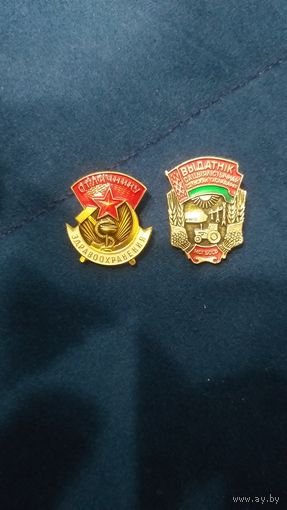 Лот знаков отличнику