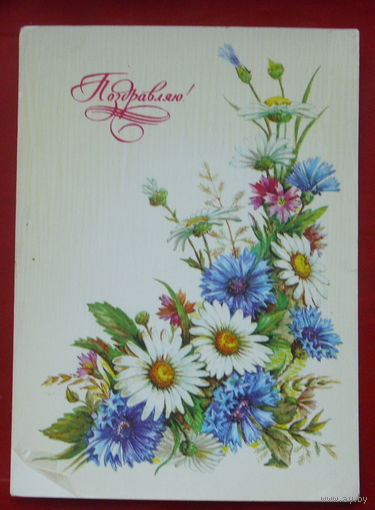 Поздравляю! Подписанная. 1984 года. Бодрихина. 213.