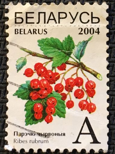 ЦІКАВІЦЬ АБМЕН! 2004, парэчкі чырвоныя, А