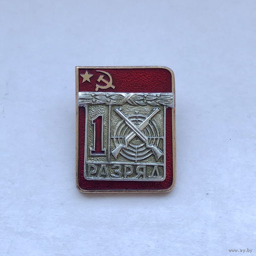 Стрельба 1 разряд