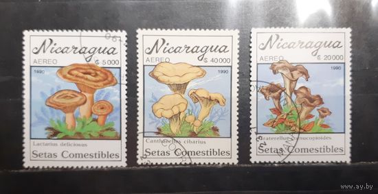 Никарагуа. 1990 год. Флора. Грибы (958)