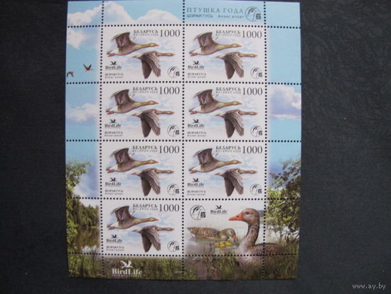 Марка Беларуси #779. МЛ Птица года. Серый гусь