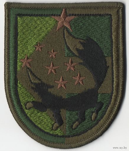 Шеврон 5 ОБрСпН