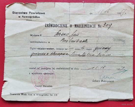 Свидетельство о проведении профилактики сапа лошади. Польша. Новогрудок. 1937 г.