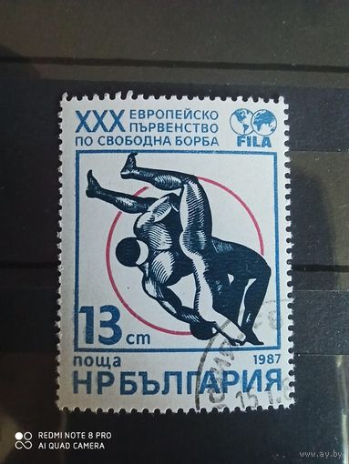 Болгария 1987, Европейское первенство по вольной борьбе