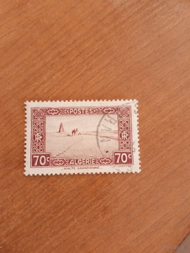 Французская колония Алжир фауна верблюд в пустыне (5-5)