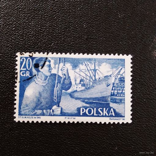 Марка Польша 1956 год Флот