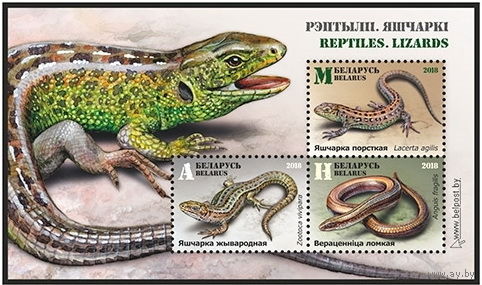 2018г Беларусь MNH Малый лист "Рептилии. Ящерицы"