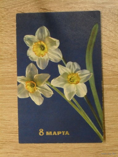 ПОДПИСАННАЯ ОТКРЫТКА СССР." 8 МАРТА" НАРЦИССЫ фото Е. ИГНАТОВИЧ. 1966 год.
