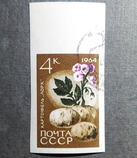 Марка СССР 1964 год Сельскохозяйственные культуры