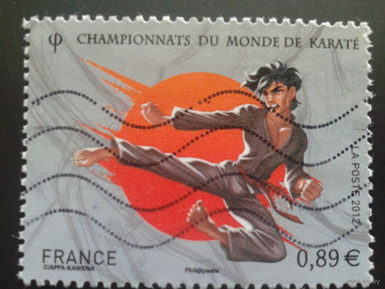 Франция 2012 карате