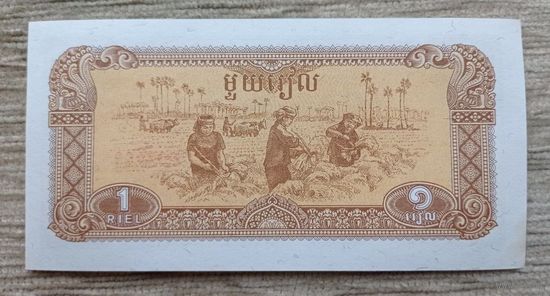 Werty71 Камбоджа 1 риель риэль 1979 UNC банкнота